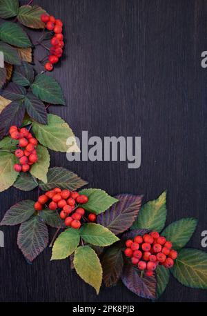 Herbstblatt auf Holz schwarzer Hintergrund Orange üppig auf alter Grunge Holzterrasse, Tafel für Text, Stockfoto