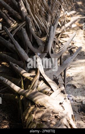 Nahaufnahme eines alten Palmenstamms ohne Blätter, grau Stockfoto