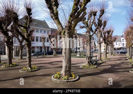 Place de Darnetal, Montreuil-sur-Mer, Hauts-de-France, Frankreich, Europa Stockfoto