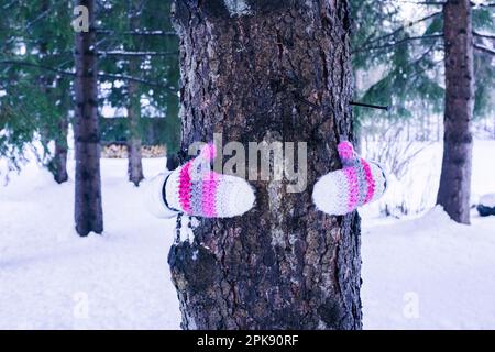 Frau, Detail, Handschuhe, Baumstamm, Umarmung, Im Winter Stockfoto