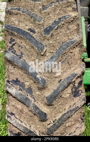 Verschmutzter Reifen eines großen Traktors, der nach Pflügen auf dem Feld mit Schlamm bedeckt ist Stockfoto