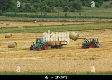 Traktor lädt nach der Ernte große Rundballen mit Stroh auf einen Anhänger auf einem Maisfeld Stockfoto