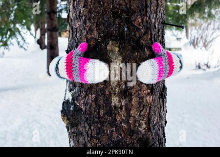 Frau, Detail, Handschuhe, Baumstamm, Umarmung, Im Winter Stockfoto