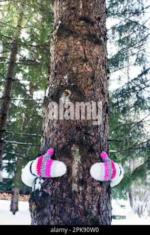 Frau, Detail, Handschuhe, Baumstamm, Umarmung, Im Winter Stockfoto