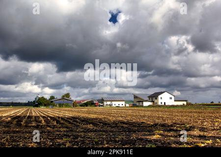 Modernisierung in der deutschen Landwirtschaft: Landwirtschaftliche Gebäude mit montierten Solarpaneelen Stockfoto