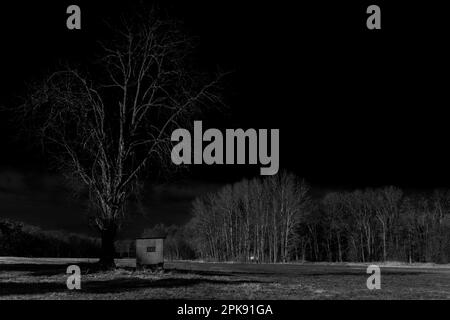 Kleine Jagdhütte eines Jägers auf einer Wiese unter einem großen Baum, Schwarz-Weiß-Fotografie Stockfoto