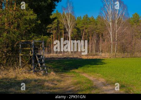 Kleiner hölzerner Ständer für einen Jäger neben einem landwirtschaftlichen Bereich Stockfoto