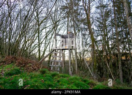 Jäger sitzen im Wald in den Ardennen, Belgien Stockfoto