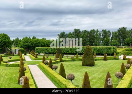 Bäume im Royal Hospital Kilmainham formelle Gärten in Dublin Stockfoto