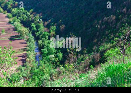 Grünes Tal und grüne Hügellandschaft. Naturschutzgebiet mit Fluss aus der Vogelperspektive Stockfoto