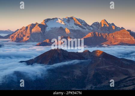 Alpenglow bei Sonnenaufgang auf der Marmolada-Gebirgsgruppe. Rötliche Farben auf Felsen, Wolkenflut. Die Dolomiten. Italienische Alpen. Europa. Stockfoto