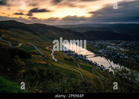 Piesport an der Mosel, wunderschöner Blick über das Moseltal im Herbst mit gelben Weinbergen. Deutschland Stockfoto