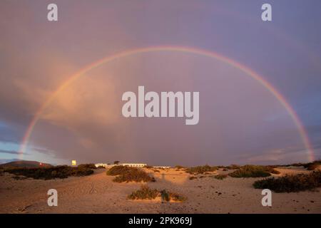 Regenbogen über Sanddünen. Corralejo Nationalpark am Morgen, Provinz Las Palmas, Fuerteventura, Kanarische Inseln, Spanien Stockfoto