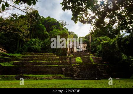 Wunderschöne Pyramiden in der archäologischen Stätte Palenque in Mexiko. Lebendiges Landschaftsfoto. Stockfoto