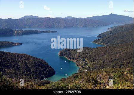 Blick vom Queen Charlotte Track auf den Queen Charlotte Sound. Die 73,5 km lange Strecke liegt in der Region Marlborough in Neuseeland. Stockfoto