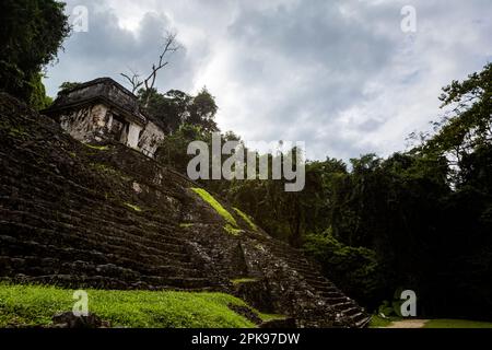 Wunderschöne Pyramiden in der archäologischen Stätte Palenque in Mexiko. Lebendiges Landschaftsfoto. Stockfoto