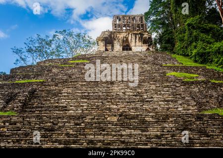 Wunderschöne Pyramiden in der archäologischen Stätte Palenque in Mexiko. Lebendiges Landschaftsfoto. Stockfoto