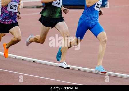 Drei Läufer, die zusammen auf mittleren Distanzen laufen, im Leichtathletik-Stadion, Sommermeisterschaft Stockfoto