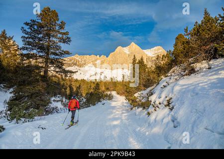 Italien, Trentino Südtirol, San Giovanni di Fassa, Skilanglauf im Vaiolet-Tal mit Catinaccio/Rosengartenspitze im Hintergrund, Fassa-Tal, Dolomiten Stockfoto