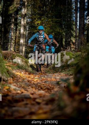 Mountainbiker auf einer Strecke in den Vogesen. Bergab nach Hirsteren Stockfoto