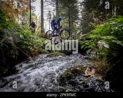 Mountainbiker auf einer Strecke in den Vogesen. Bergab nach Hirsteren Stockfoto