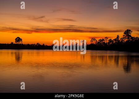 Sonnenuntergang am Pine Glades Lake, im Everglades-Nationalpark, Florida, USA Stockfoto