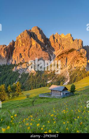 Dobbiaco, Val Pusteria, Provinz Bozen, Südtirol, Italien. Alpenglow bei Sonnenaufgang in den Felsen von Dürrenstein Stockfoto