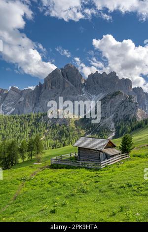 Dobbiaco, Val Pusteria, Provinz Bozen, Südtirol, Italien. Der Dürrenstein über den Sarl-Wiesen Stockfoto