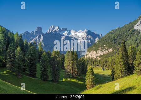 Braies, Dolomiten, Provinz Bozen, Südtirol, Italien. Blick von der Prato Piazza auf die Gipfel der Cristallo Group Stockfoto