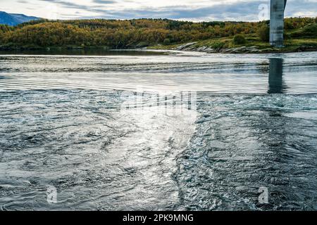 Norwegen, Atlantikküste bei Kystriksveien, Küstenstraße Fv17, Saltstraumen, stärkste Gezeitenströmung der Welt, Whirlpool unter Saltstraumbrua Stockfoto