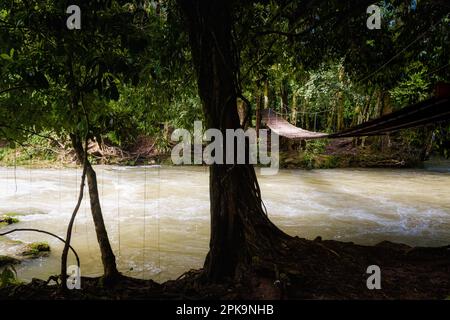 Wunderschöne Landschaft des Agua Azul Cascades Parks in Palenque, Mexiko. Lebendiges Landschaftsfoto. Stockfoto