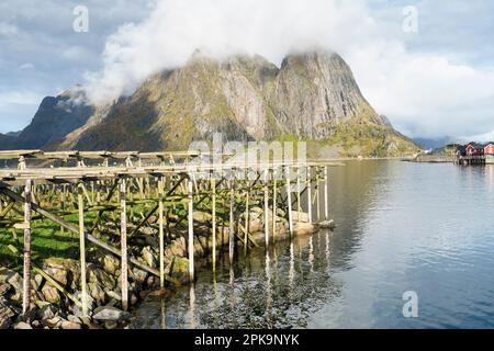 Norwegen, Lofoten, Sakrisoy Island, Gestelle zum Trocknen von Fischbeständen Stockfoto
