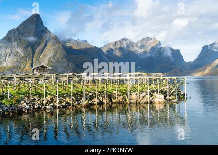 Norwegen, Lofoten, Sakrisoy Island, Gestelle zum Trocknen von Fischbeständen Stockfoto
