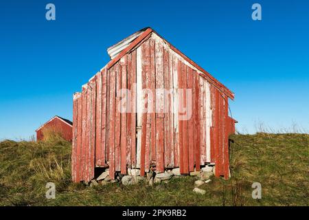 Norwegen, Lofoten, Vestvagoya, Eggum, Bootshaus in typischem Rot, verwittert Stockfoto