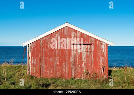 Norwegen, Lofoten, Vestvagoya, Eggum, Strandweg, Bootshaus in typisch roter Farbe Stockfoto