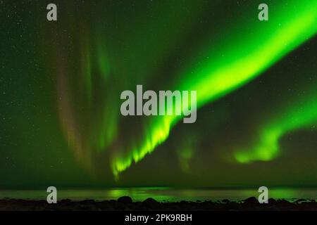 Norwegen, Lofoten, Vestvagoya, Eggum, mehrfarbige aurora über dem Atlantik Stockfoto