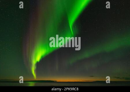 Norwegen, Lofoten, Vestvagoya, Eggum, mehrfarbige aurora über dem Atlantik Stockfoto