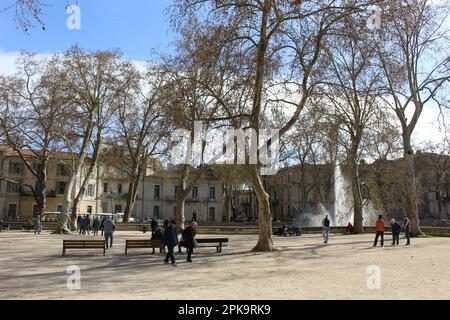 Nimes Pétanque Spieler im Frühjahr Stockfoto