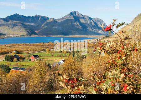 Norwegen, Lofoten, Bostad, Torvdalshalsen, Rastplatz, Blickpunkt Stockfoto