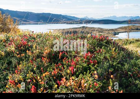 Norwegen, Lofoten, Bostad, Torvdalshalsen, Rastplatz, Blickpunkt Stockfoto