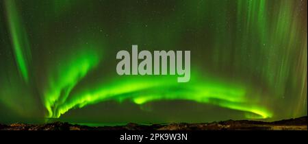 Panorama, Norwegen, Lofoten, Austvagoya, Fischerdorf Laukvik, Ausgedehnte und intensive aurora über dem Atlantischen Ozean Stockfoto