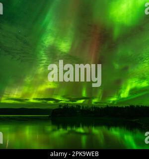 Panorama, Schweden, Lappland, Abisko, Aurora über Torneträsk Stockfoto