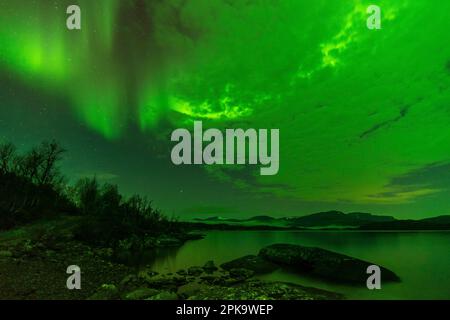 Schweden, Lappland, Abisko, aurora über Torneträsk, Wolkendecke Stockfoto