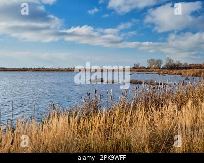 Usedom im Herbst, Blick auf eine Bucht an der Szczecin Lagune, Schilfgürtel Stockfoto