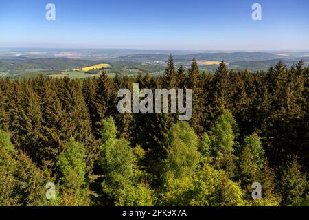 06.05.2018, Deutschland, Thüringen, Ruhla - Blick vom 21m m hohen Aussichtsturm Carl-Alexander-Turm ab 1867 m auf dem Ringberg im Thüringer Wald. 0 Stockfoto