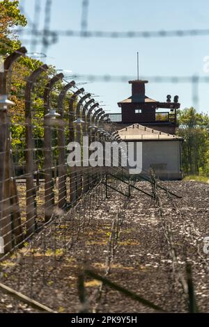 06.05.2018, Deutschland, Thüringen, Weimar - Buchenwald Memorial (Konzentrationslager-Gedenkstätte), Stacheldrahtzaun, der früher elektrifiziert wurde, Tor gebaut Stockfoto