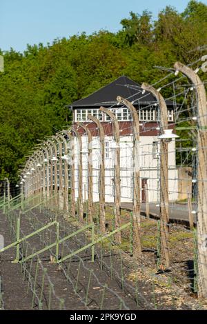 06.05.2018, Deutschland, Thüringen, Weimar - Buchenwald Memorial, Wachturm am Zaun des Lagers, Blick von innen, Stachelschwanzmaus Stockfoto