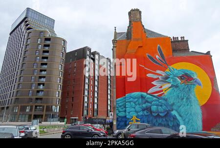 John Culshaw's Liver Bird Mural, gemalt auf dem berühmten Liverpool Wedding House Building, 3-4 Great George PL, Liverpool, England, Großbritannien, L1 7AG Stockfoto