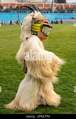 Mummer aus Zentralbulgaren trägt eine komische Maske beim jährlichen Simitlia Winter Festival in Simitli, Blagoevgrad County, Bulgarien, Osteuropa, EU Stockfoto