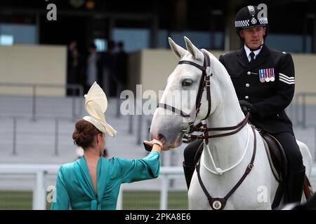16.06.2022, Großbritannien, Windsor, Ascot - schlau gekleidete Frau mit Hut, die ein Polizeipferd streichelt. 00S220616D358CAROEX.JPG [MODELLVERSION: NEIN, EIGENSCHAFT Stockfoto